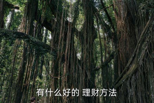 賺錢快的投資理財,支付寶怎么投資理財賺錢