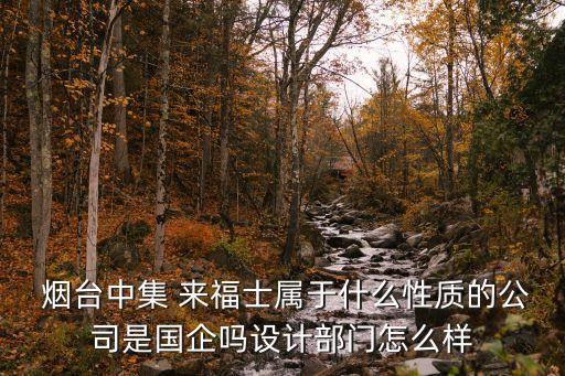  煙臺中集 來福士屬于什么性質(zhì)的公司是國企嗎設(shè)計部門怎么樣