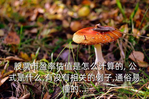  股票市盈率估值是怎么計算的, 公式是什么,有沒有相關的例子,通俗易懂的...