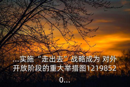 ...實(shí)施“走出去”戰(zhàn)略成為 對外開放階段的重大舉措圖12198520...