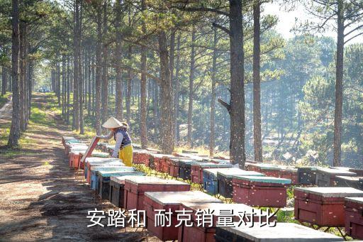 安踏和 耐克銷(xiāo)量對(duì)比