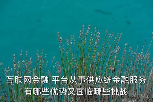 互聯(lián)網金融 平臺從事供應鏈金融服務有哪些優(yōu)勢又面臨哪些挑戰(zhàn)