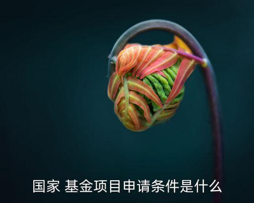 國(guó)家 基金項(xiàng)目申請(qǐng)條件是什么