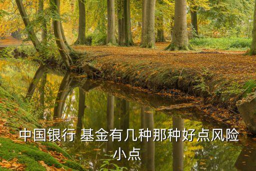  中國銀行 基金有幾種那種好點(diǎn)風(fēng)險小點(diǎn)