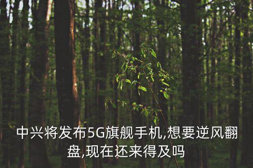 中興將發(fā)布5G旗艦手機(jī),想要逆風(fēng)翻盤,現(xiàn)在還來得及嗎