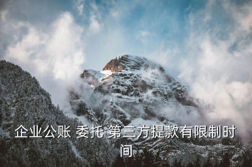 企業(yè)公賬 委托 第三方提款有限制時間