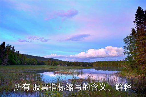 所有 股票指標(biāo)縮寫的含義、解釋