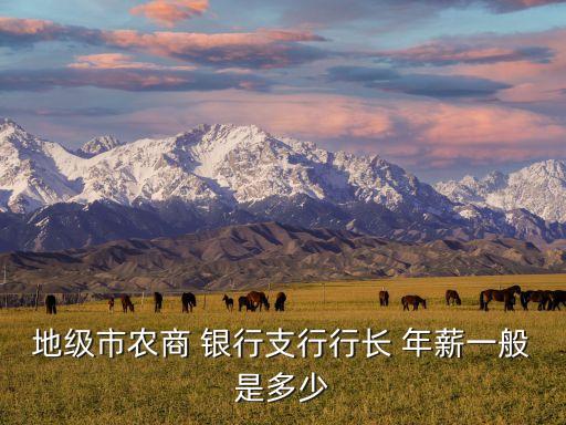 地級(jí)市農(nóng)商 銀行支行行長(zhǎng) 年薪一般是多少