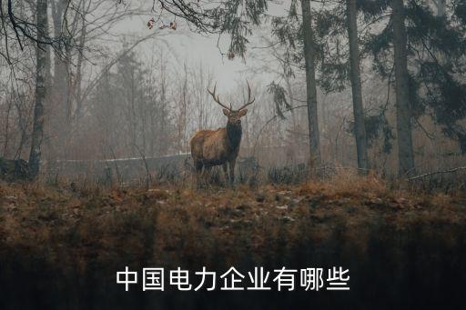 中國電力企業(yè)有哪些