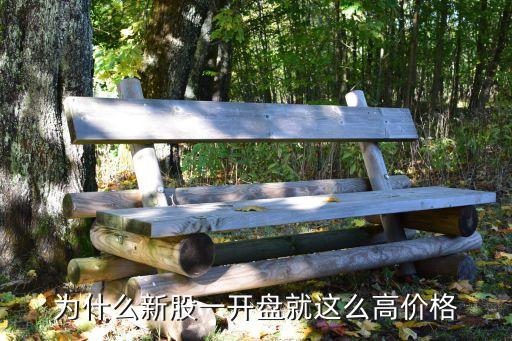 為什么新股一開盤就這么高價(jià)格