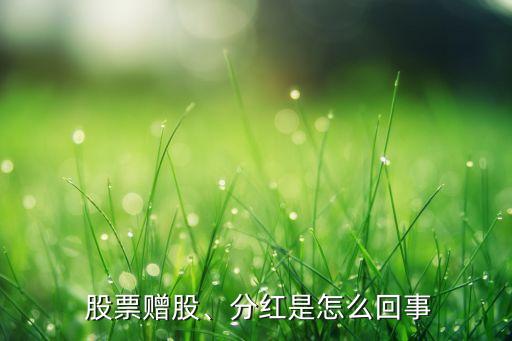  股票贈股、分紅是怎么回事
