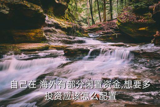 海外個(gè)人投資,中國海外投資集團(tuán)