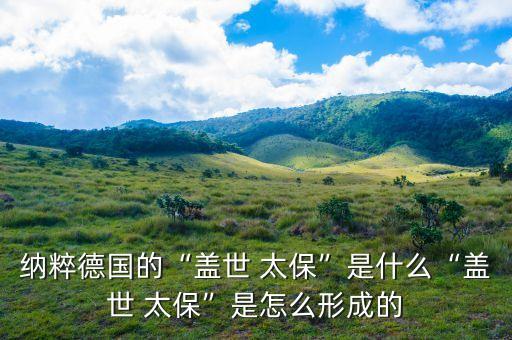 納粹德國的“蓋世 太?！笔鞘裁础吧w世 太保”是怎么形成的