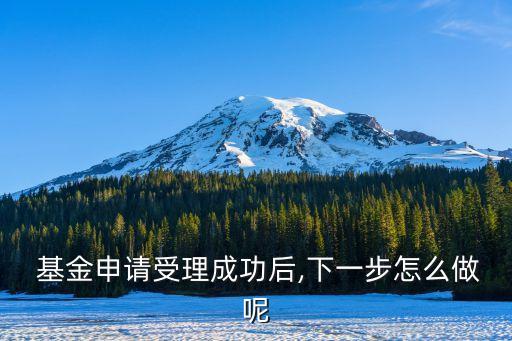  基金申請(qǐng)受理成功后,下一步怎么做呢