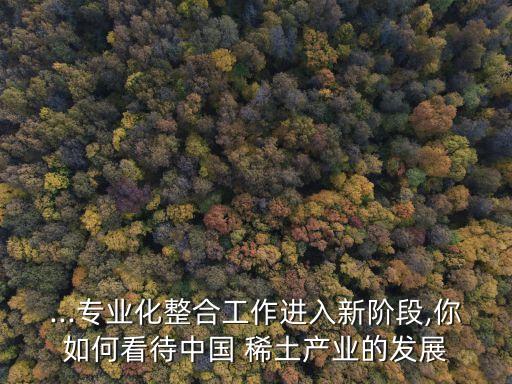 ...專業(yè)化整合工作進入新階段,你如何看待中國 稀土產(chǎn)業(yè)的發(fā)展