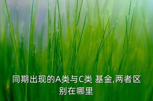 同期出現的A類與C類 基金,兩者區(qū)別在哪里