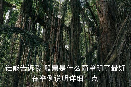 誰能告訴我 股票是什么簡(jiǎn)單明了最好在舉例說明詳細(xì)一點(diǎn)