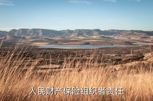 中國人民財產(chǎn)保險組織者責(zé)任