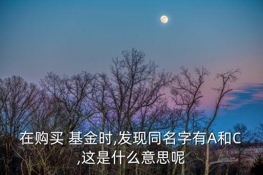 在購(gòu)買 基金時(shí),發(fā)現(xiàn)同名字有A和C,這是什么意思呢