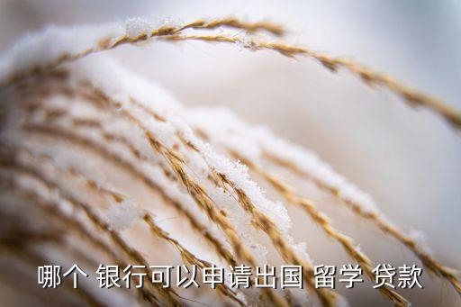 哪個(gè) 銀行可以申請(qǐng)出國(guó) 留學(xué) 貸款