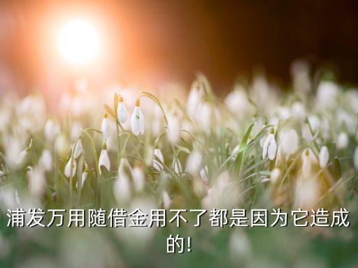 浦發(fā)萬用隨借金用不了都是因為它造成的!