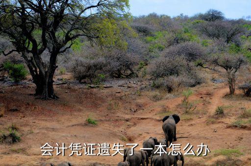 會計憑證遺失了一本怎么辦