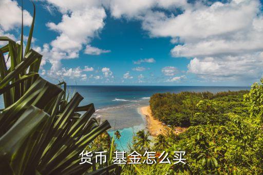 如何買貨幣型基金,貨幣型基金有風險嗎