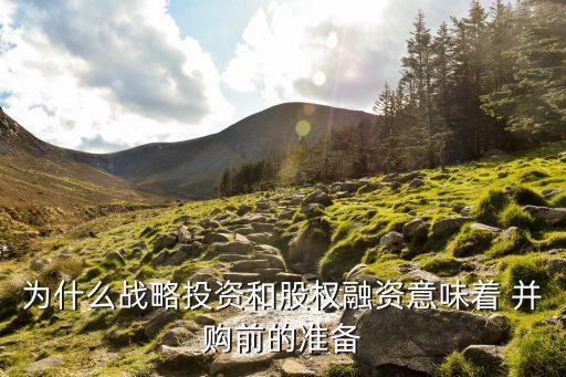 為什么戰(zhàn)略投資和股權(quán)融資意味著 并購前的準備