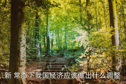 新 常態(tài)下我國經(jīng)濟(jì)應(yīng)該做出什么調(diào)整