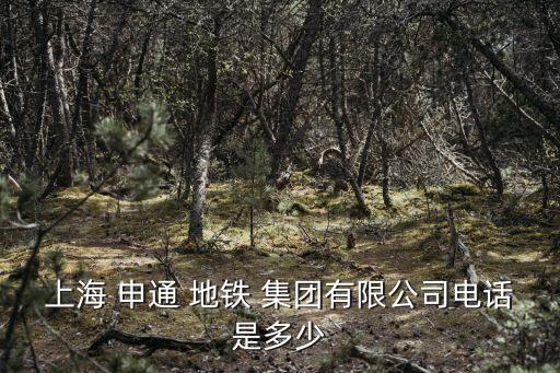 申通地鐵屬于哪個(gè)集團(tuán),上海申通地鐵集團(tuán)領(lǐng)導(dǎo)班子名單