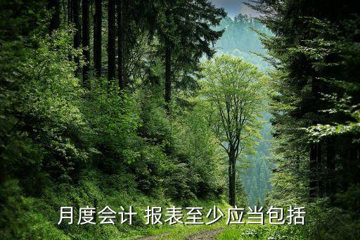  月度會計(jì) 報(bào)表至少應(yīng)當(dāng)包括