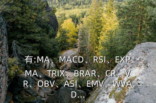 有:MA、MACD、RSI、EXPMA、TRIX、BRAR、CR、VR、OBV、ASI、EMV、WVAD...