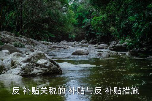 中國(guó)進(jìn)出口補(bǔ)貼,進(jìn)出口銀行利率補(bǔ)貼