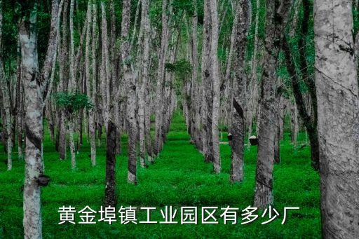 黃金埠鎮(zhèn)工業(yè)園區(qū)有多少廠