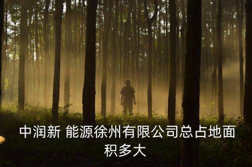 中潤國際能源集團(tuán),山西國際能源集團(tuán)待遇怎么樣