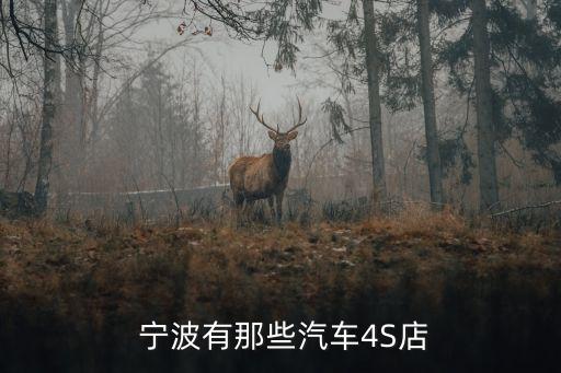 寧波捷瑞汽車(chē)銷(xiāo)售服務(wù)有限公司,成都捷瑞汽車(chē)銷(xiāo)售有限公司怎么樣