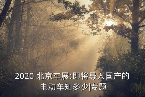 2020 北京車展:即將導入國產(chǎn)的 電動車知多少|(zhì)專題