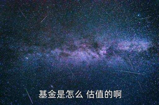基金資產(chǎn)估值表,關于基金資產(chǎn)估值下列說法正確的有