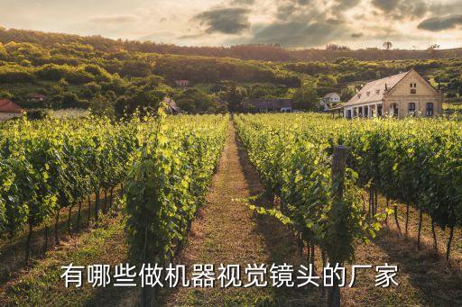 有哪些做機(jī)器視覺(jué)鏡頭的廠家