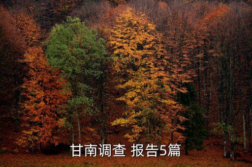 甘南調查 報告5篇