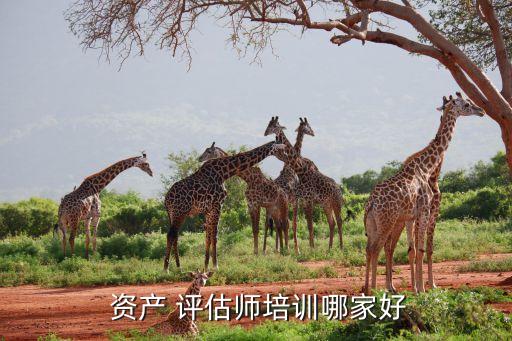 江西中泰資產評估有限公司,江西洪利房地產資產評估測繪有限公司