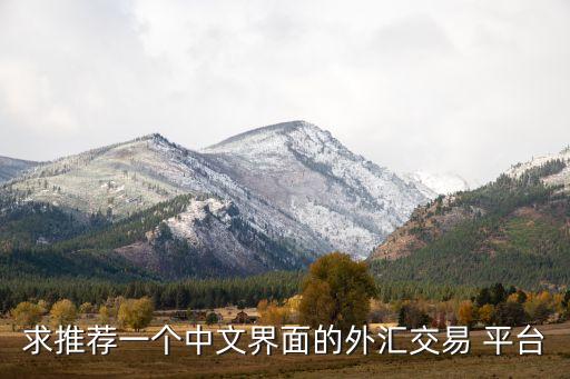 求推薦一個(gè)中文界面的外匯交易 平臺(tái)