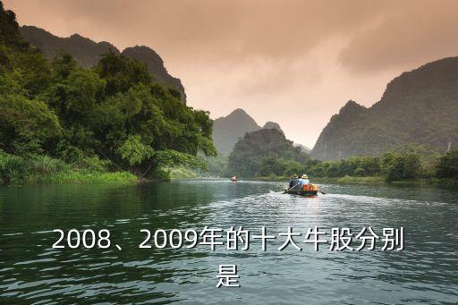 2008、2009年的十大牛股分別是