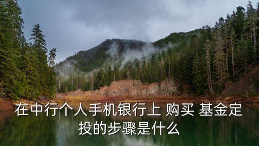 怎樣購買基金定投產品,支付寶怎樣取消基金定投