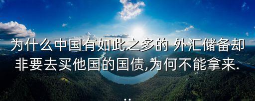 為什么中國有如此之多的 外匯儲(chǔ)備卻非要去買他國的國債,為何不能拿來...