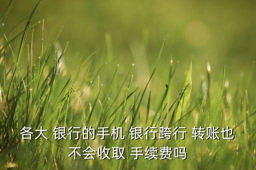 各大 銀行的手機(jī) 銀行跨行 轉(zhuǎn)賬也不會收取 手續(xù)費(fèi)嗎