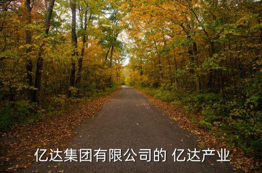億達(dá)中國(guó),丁衛(wèi)政億達(dá)中國(guó)