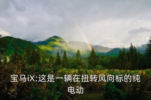 寶馬iX:這是一輛在扭轉(zhuǎn)風向標的純電動