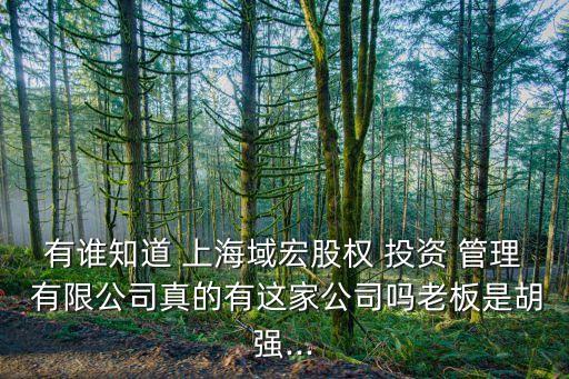 有誰(shuí)知道 上海域宏股權(quán) 投資 管理 有限公司真的有這家公司嗎老板是胡強(qiáng)...