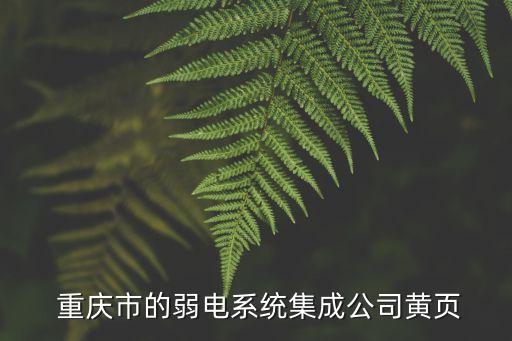  重慶市的弱電系統(tǒng)集成公司黃頁(yè)